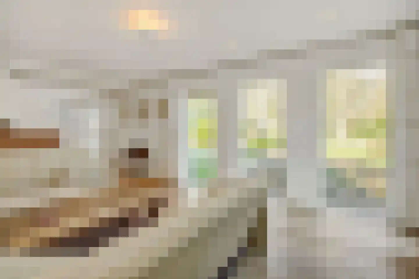 Dorpsstraat 110 Lieshout thumbnail 25