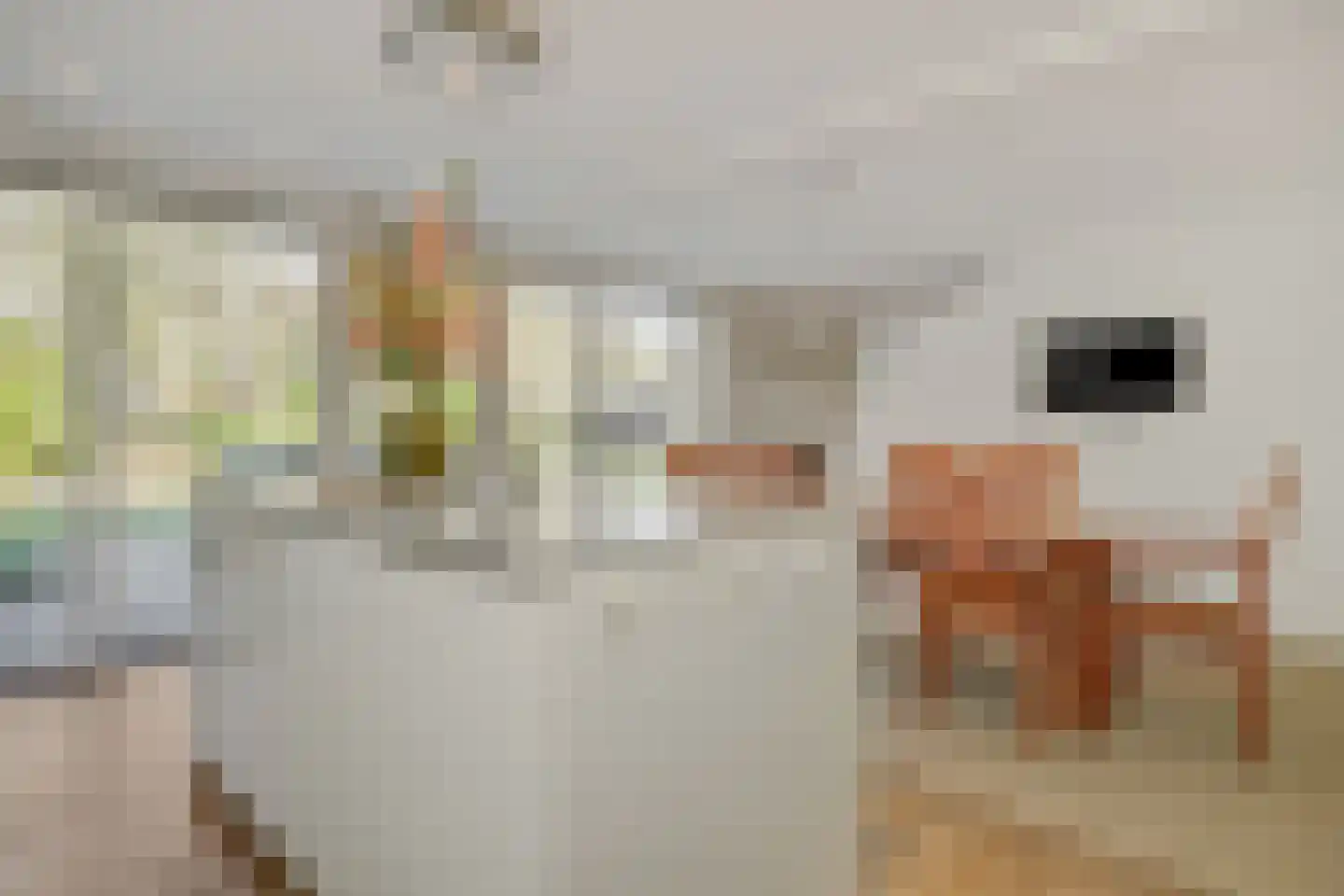Dorpsstraat 110 Lieshout thumbnail 33