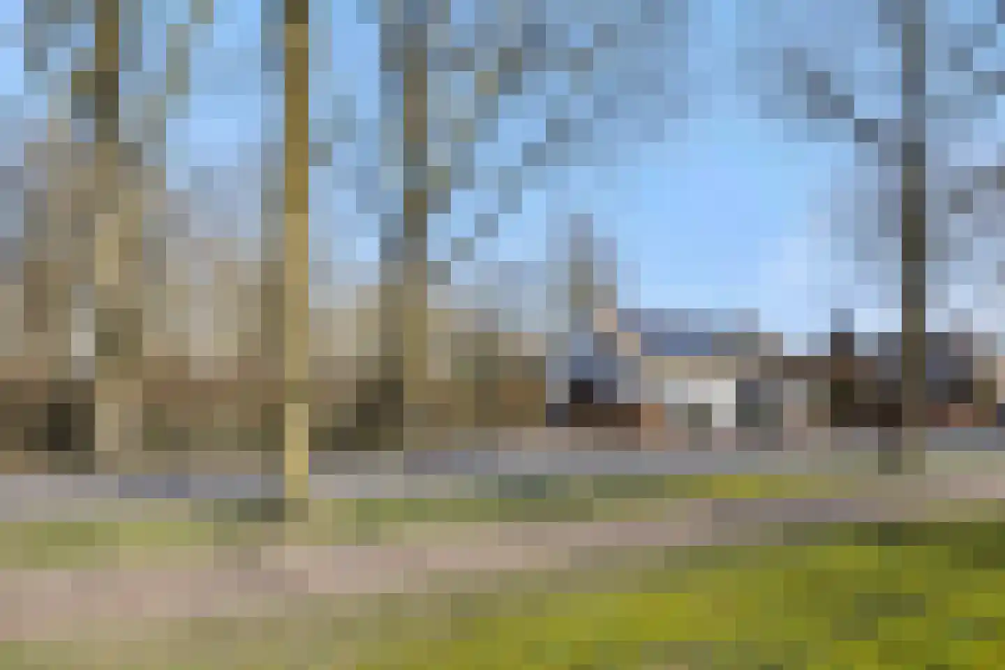 Dorpsstraat 110 Lieshout thumbnail 6