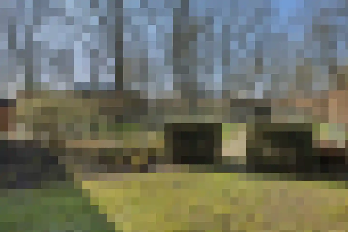 Dorpsstraat 110 Lieshout thumbnail 65