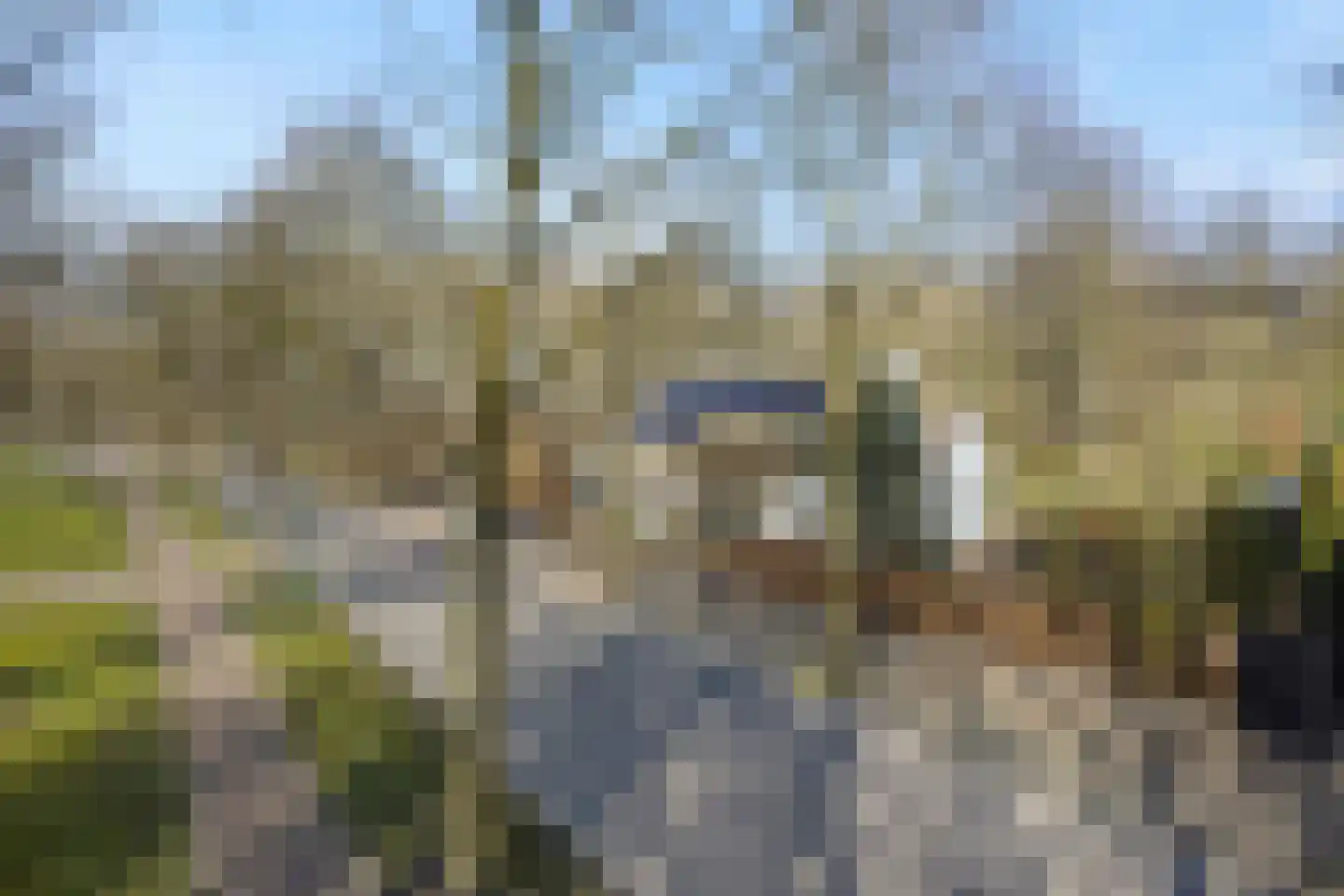 Dorpsstraat 110 Lieshout thumbnail 71