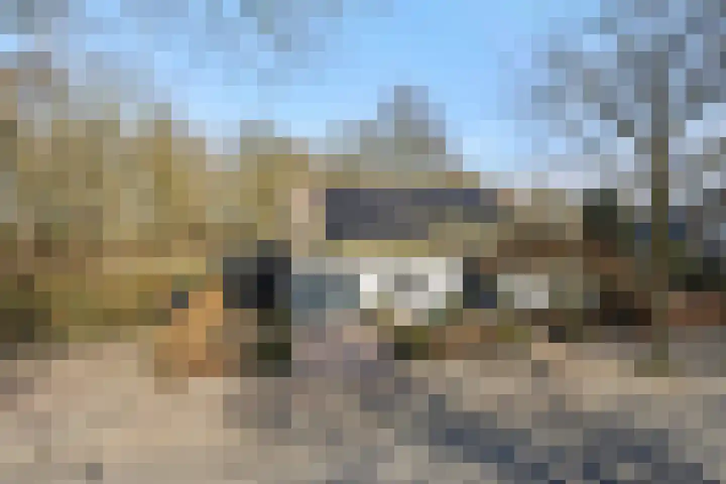 Dorpsstraat 110 Lieshout thumbnail 72