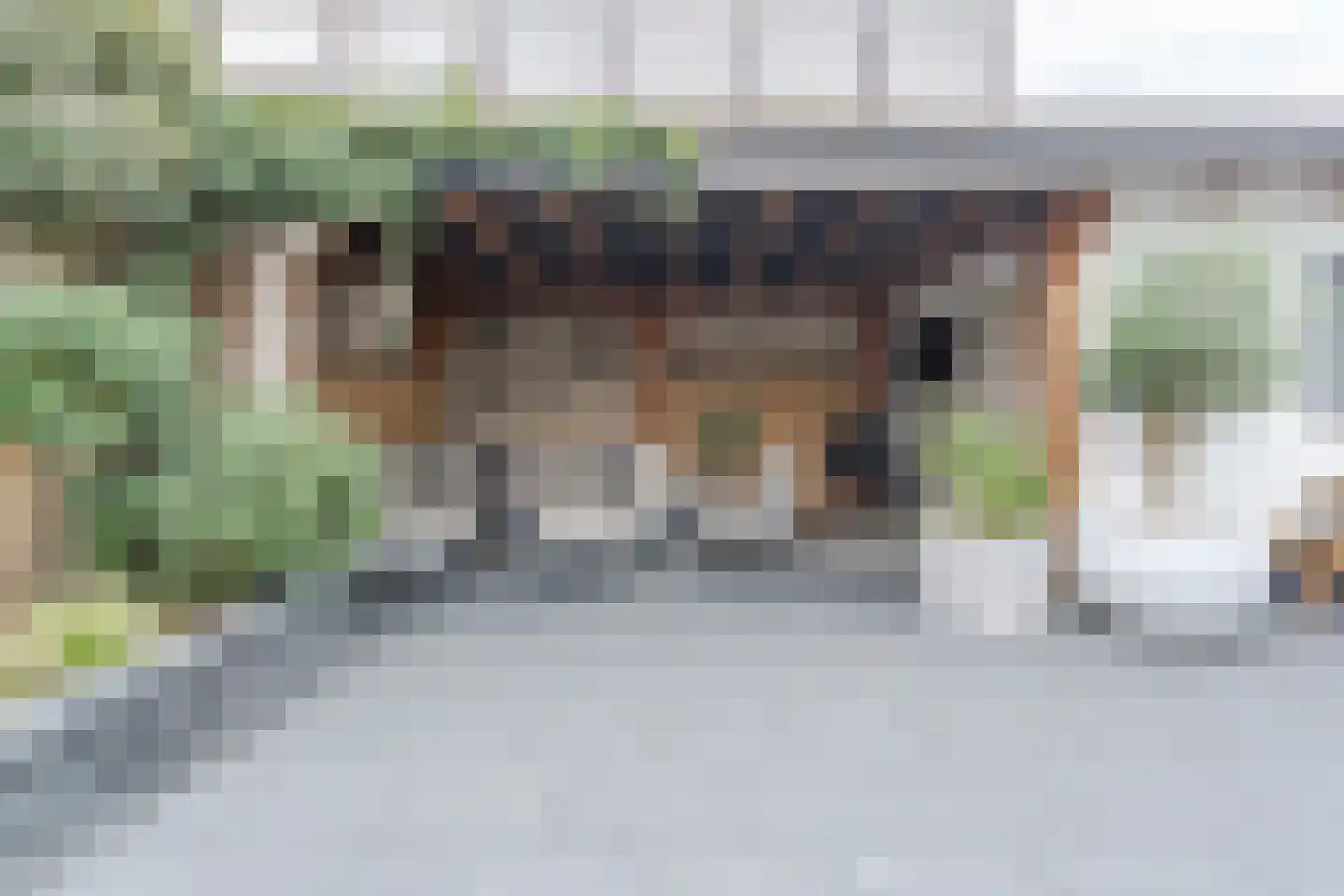 Dorpsstraat 111 Hazerswoude-Dorp thumbnail 35