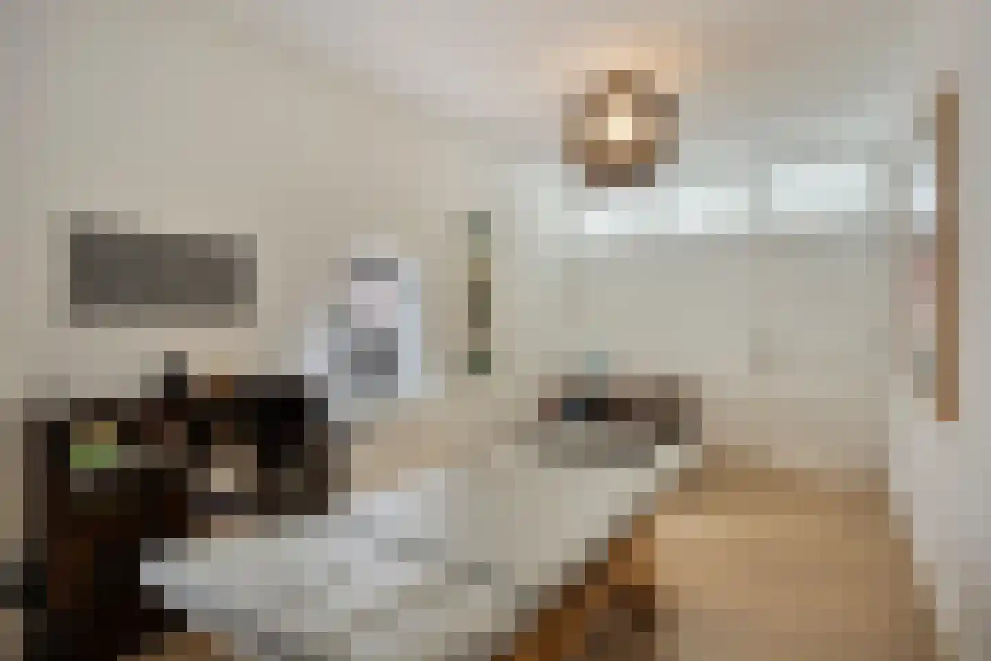 Dorpsstraat 111 Roermond thumbnail 17