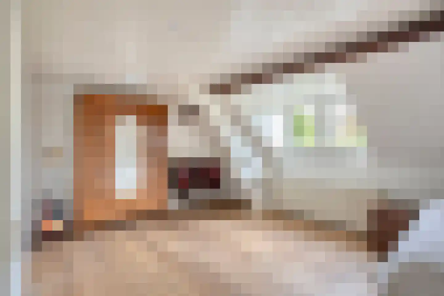 Dorpsstraat 111 Roermond thumbnail 23