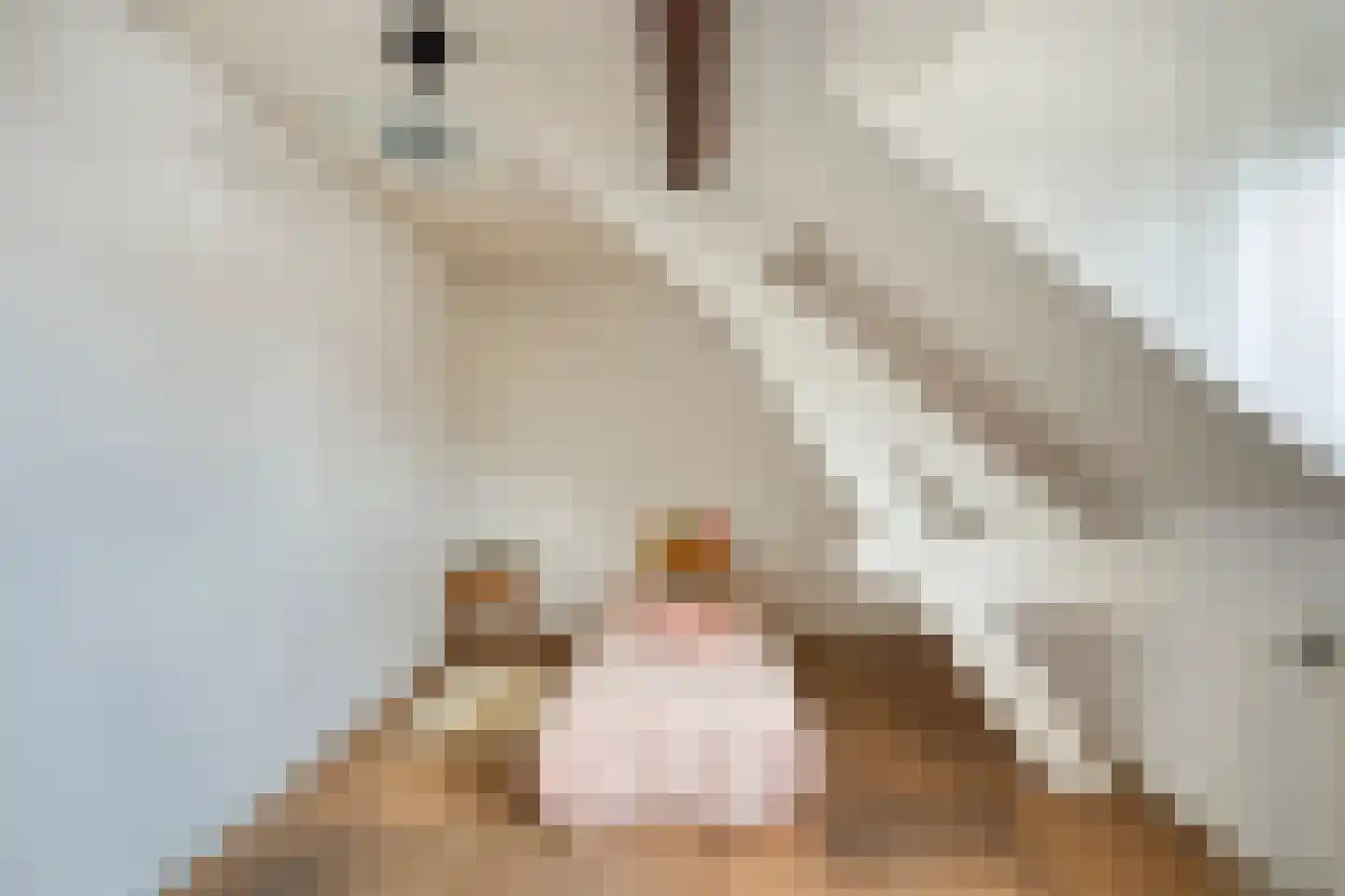 Dorpsstraat 111 Roermond thumbnail 30