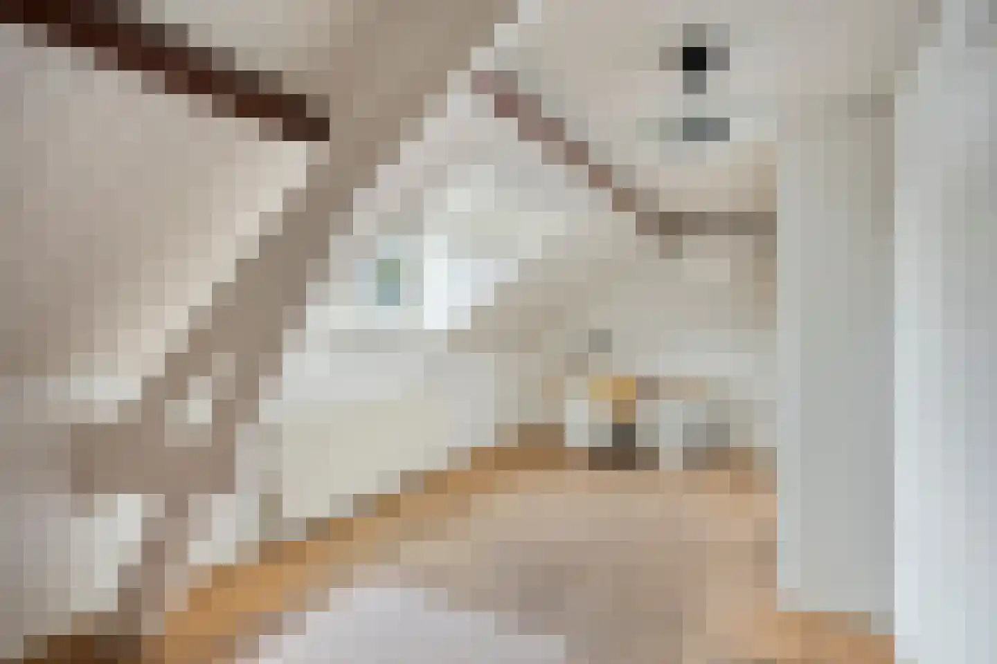 Dorpsstraat 111 Roermond thumbnail 31