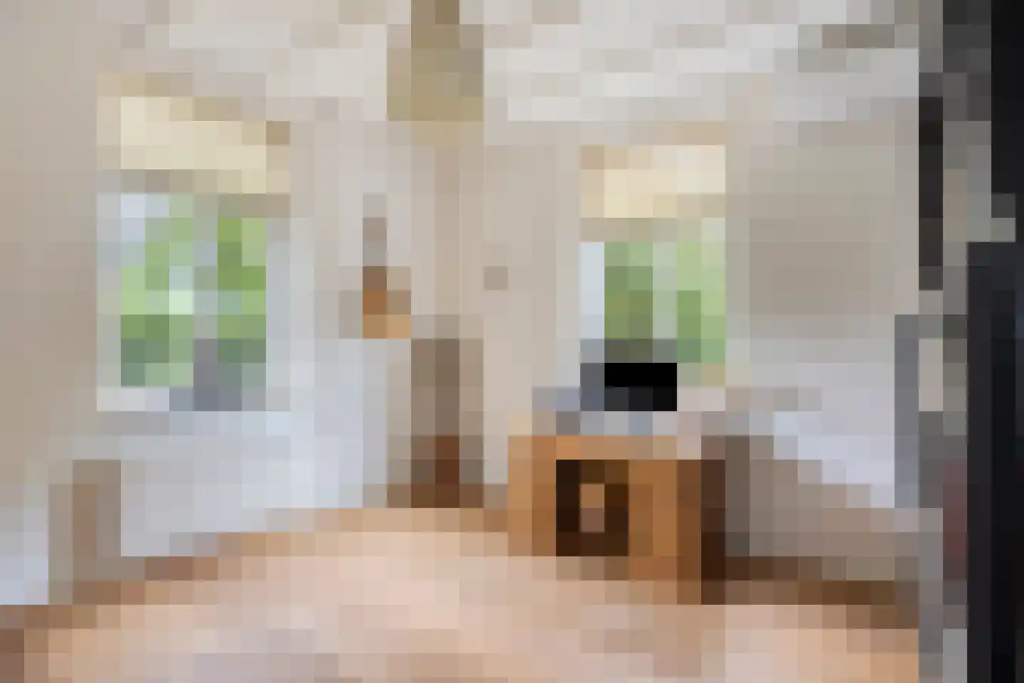 Dorpsstraat 111 Roermond thumbnail 8