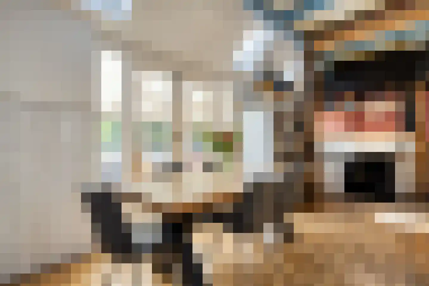 Dorpsstraat 112 de Wijk thumbnail 23
