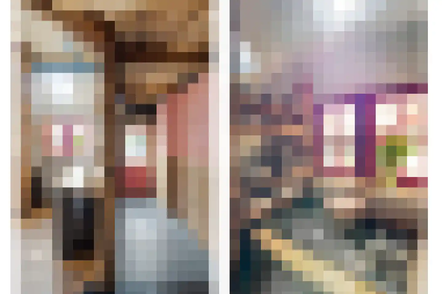 Dorpsstraat 112 de Wijk thumbnail 29