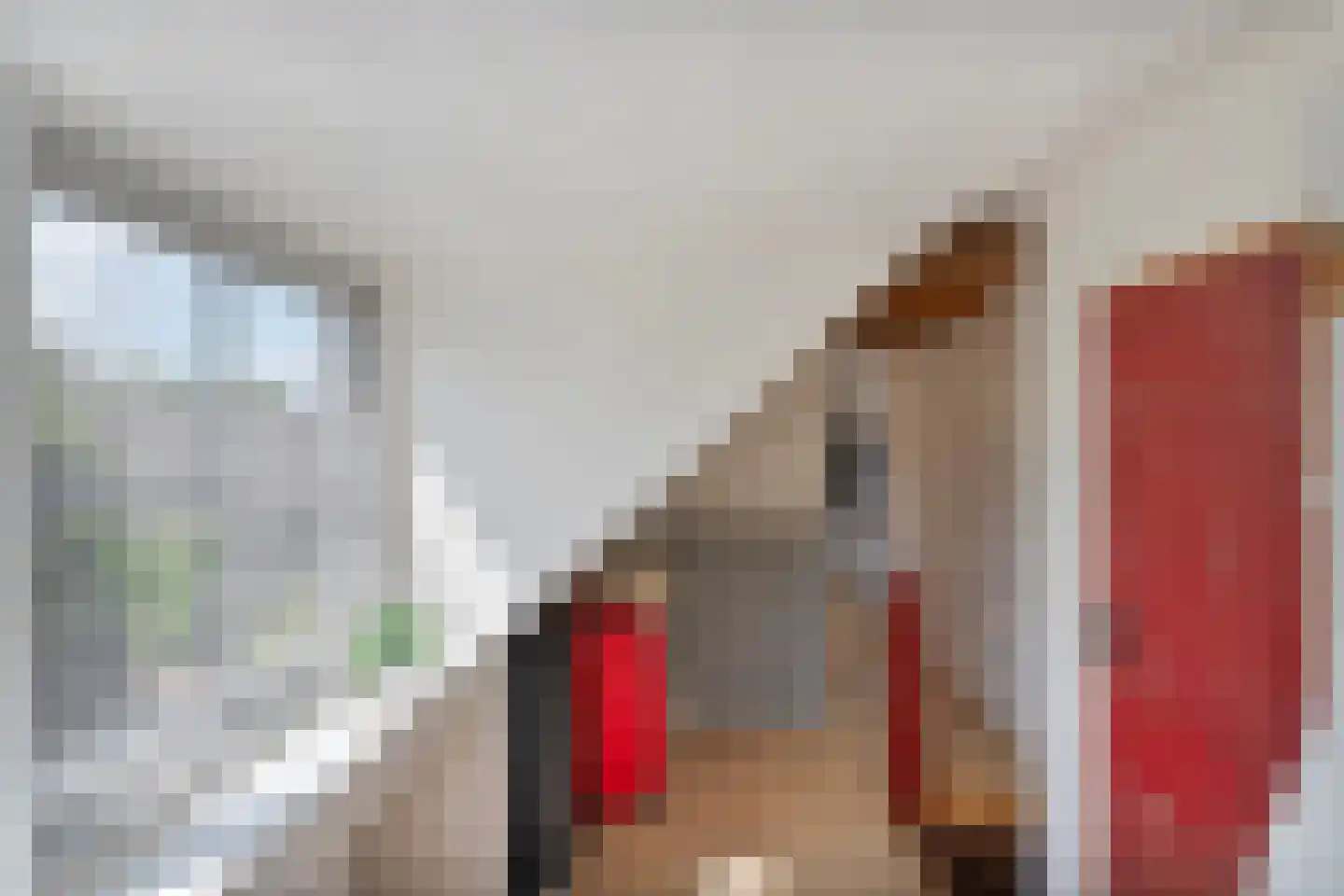 Dorpsstraat 112 de Wijk thumbnail 32