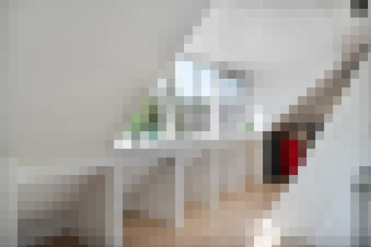 Dorpsstraat 112 de Wijk thumbnail 33
