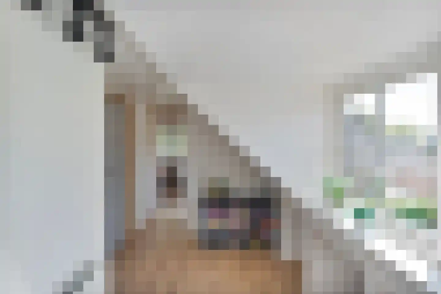 Dorpsstraat 112 de Wijk thumbnail 34