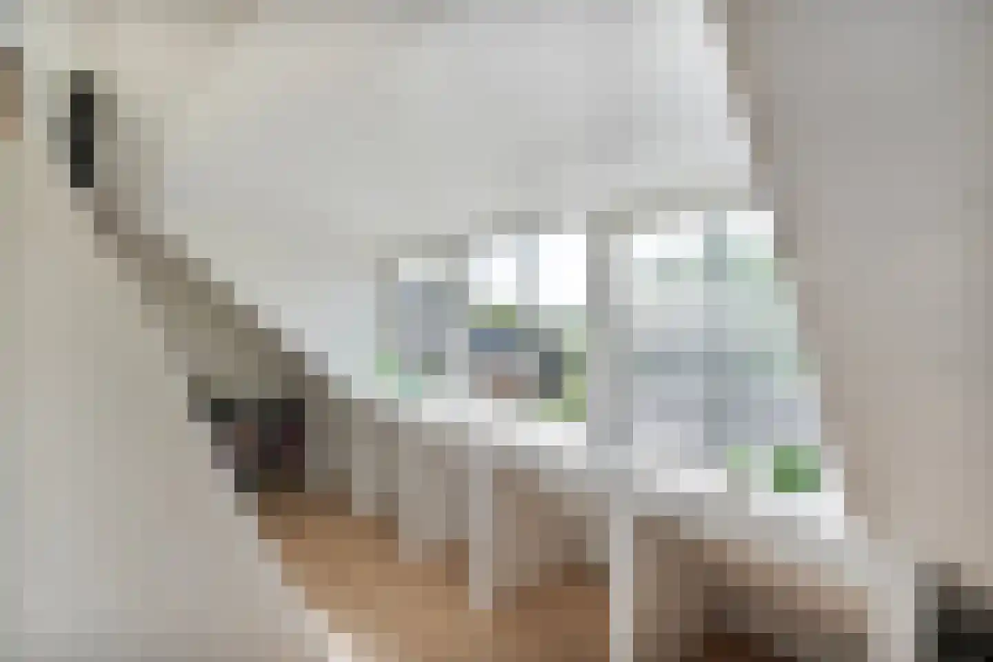 Dorpsstraat 112 de Wijk thumbnail 35