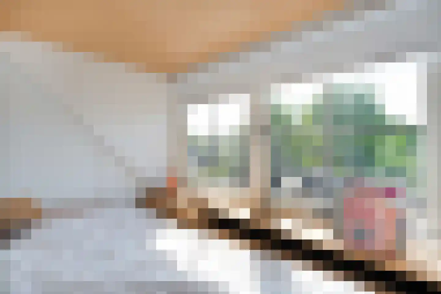 Dorpsstraat 112 de Wijk thumbnail 36