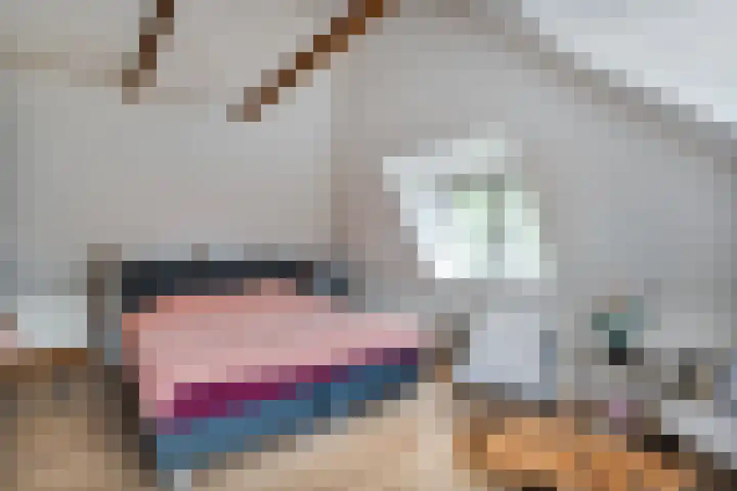 Dorpsstraat 112 de Wijk thumbnail 37
