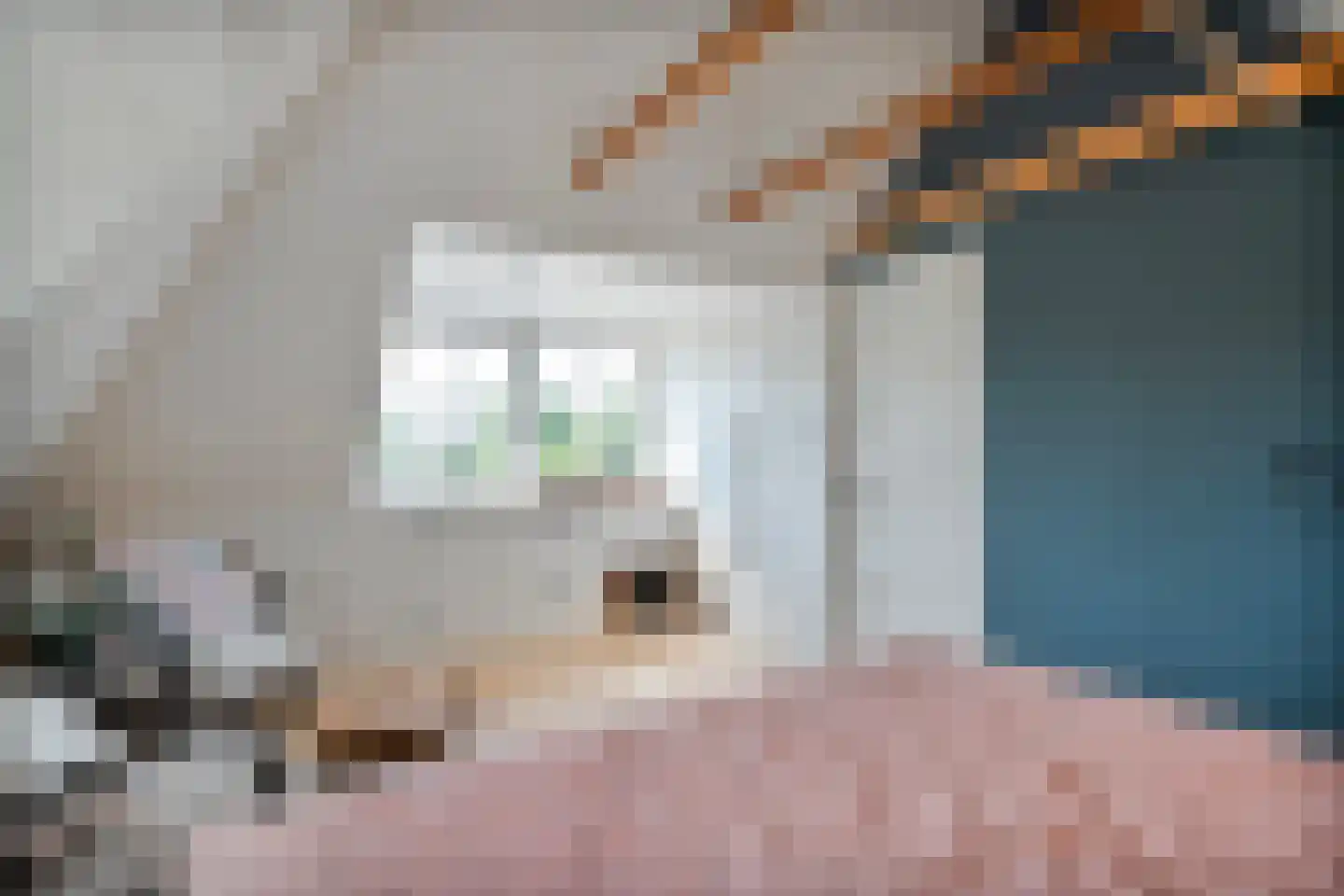 Dorpsstraat 112 de Wijk thumbnail 38