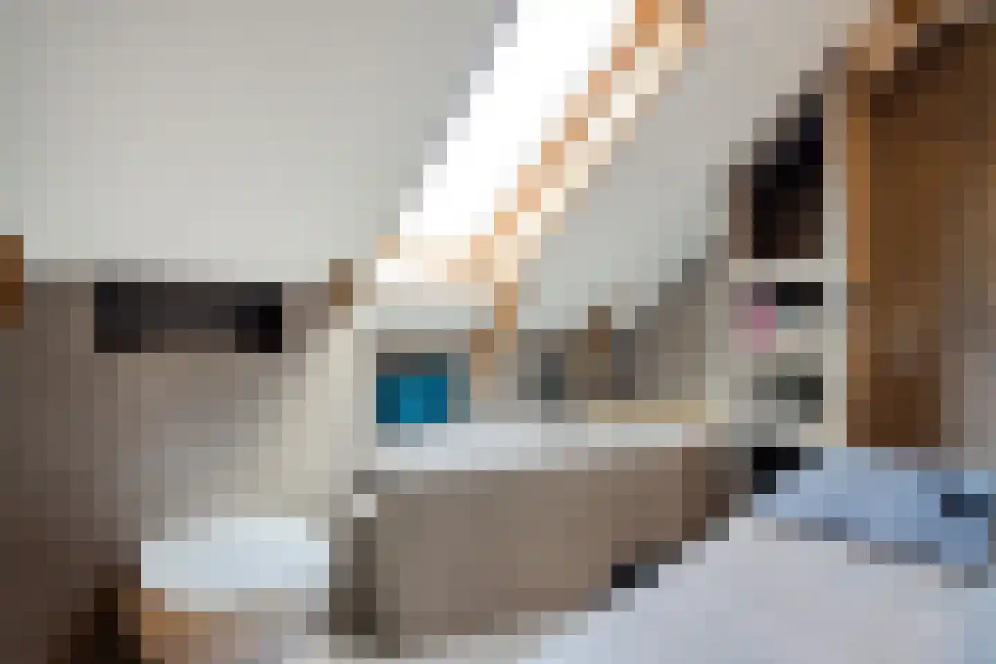 Dorpsstraat 112 de Wijk thumbnail 42