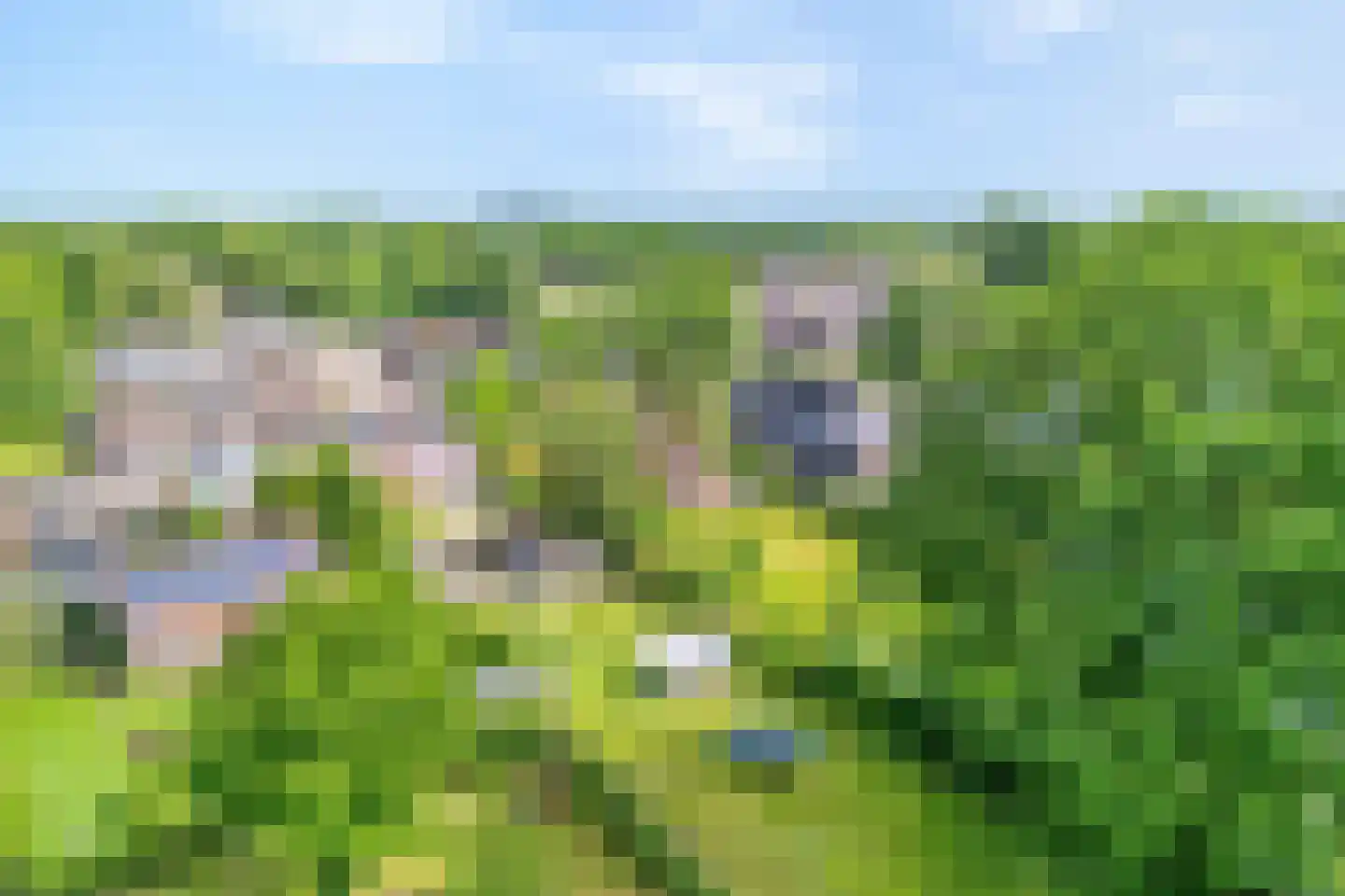 Dorpsstraat 112 de Wijk thumbnail 49