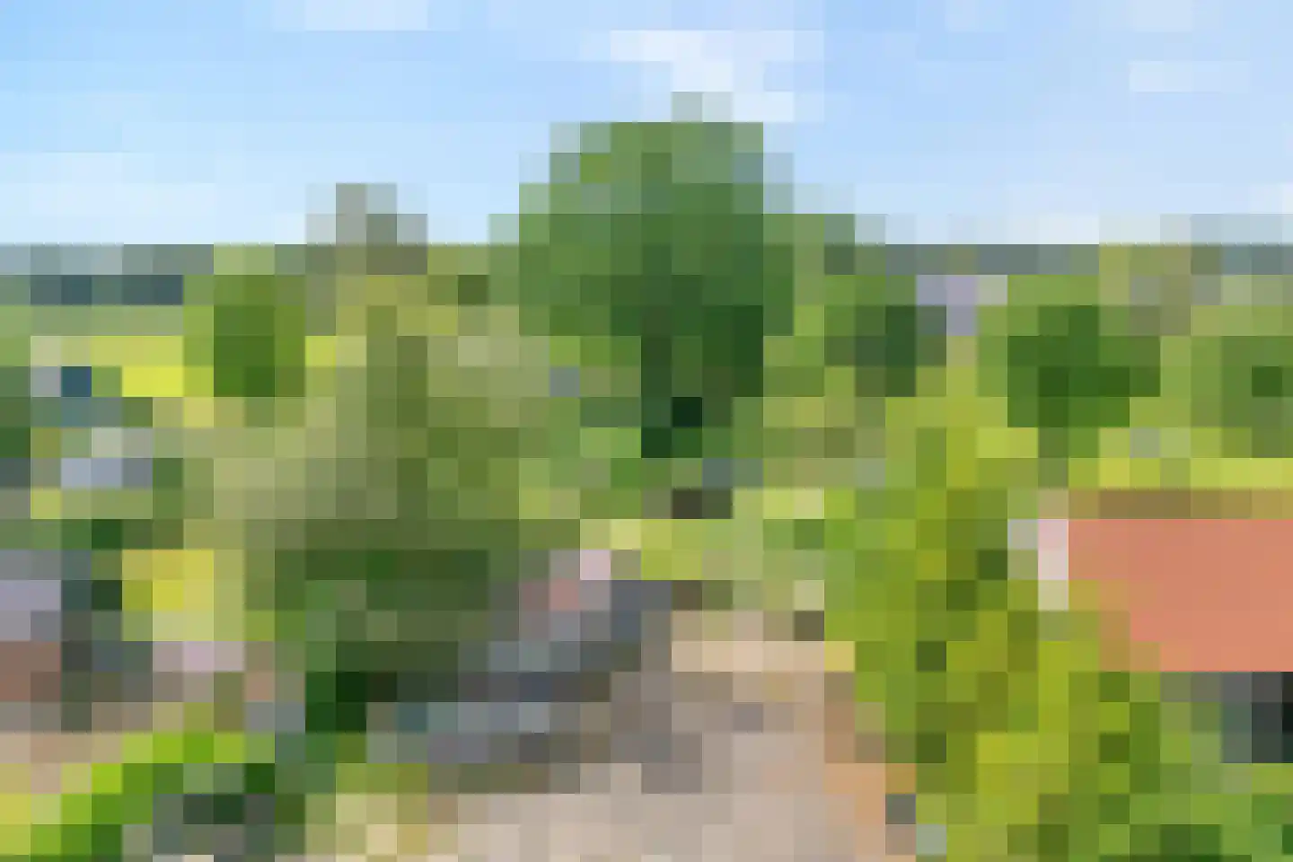 Dorpsstraat 112 de Wijk thumbnail 50