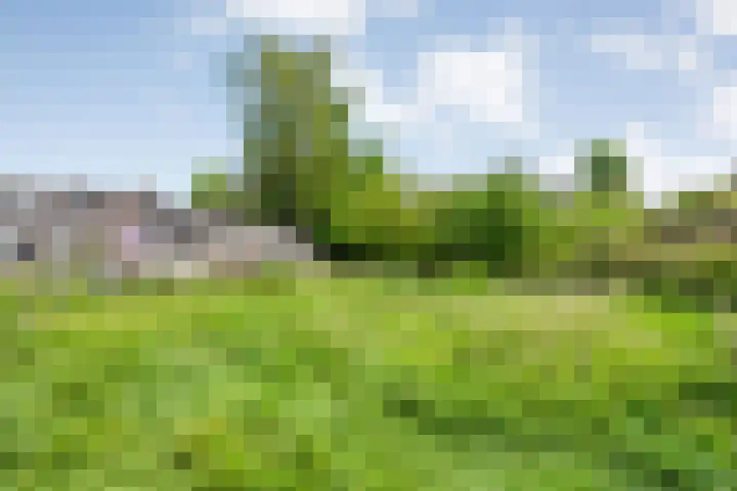 Dorpsstraat 112 de Wijk thumbnail 51