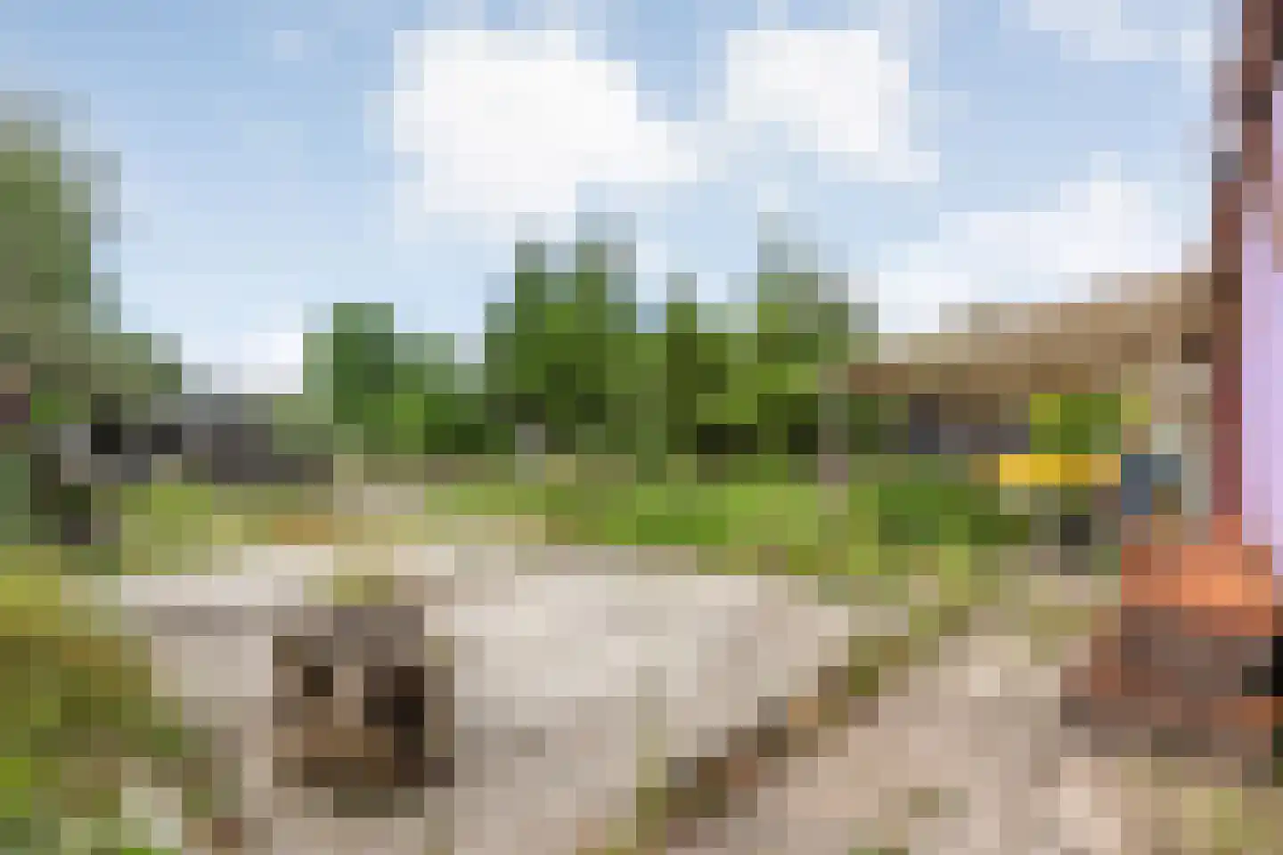 Dorpsstraat 112 de Wijk thumbnail 55