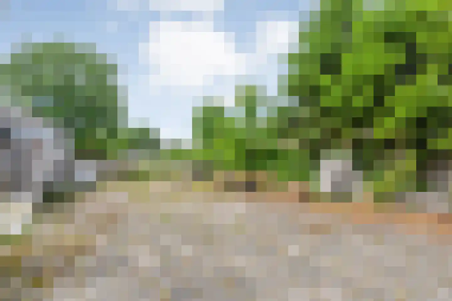 Dorpsstraat 112 de Wijk thumbnail 56