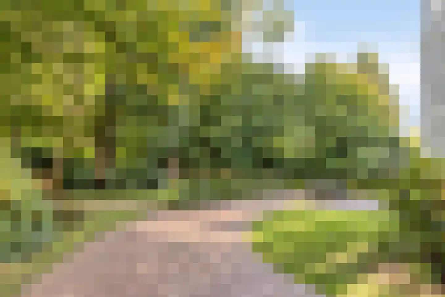 Dorpsstraat 112 Nijmegen thumbnail 46