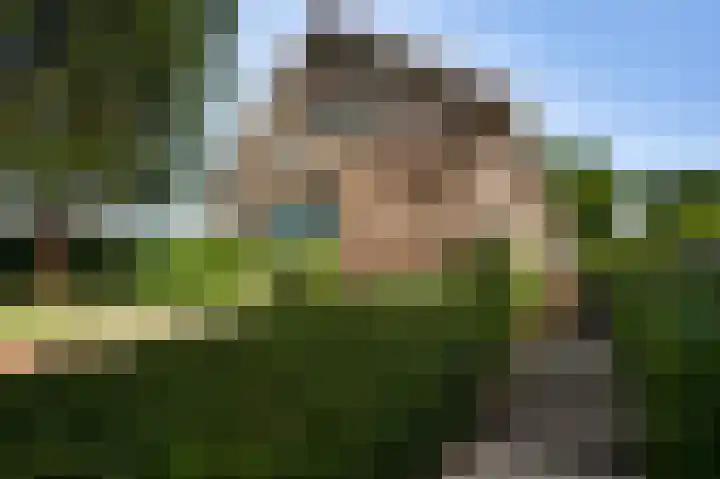 Dorpsstraat 113 Bingelrade thumbnail 5