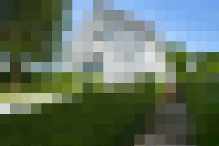 Dorpsstraat 113 Bingelrade thumbnail 6