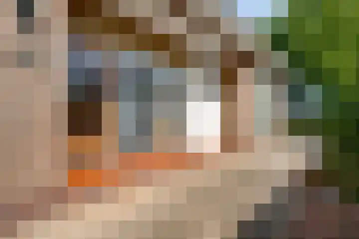 Dorpsstraat 113 Bingelrade thumbnail 7