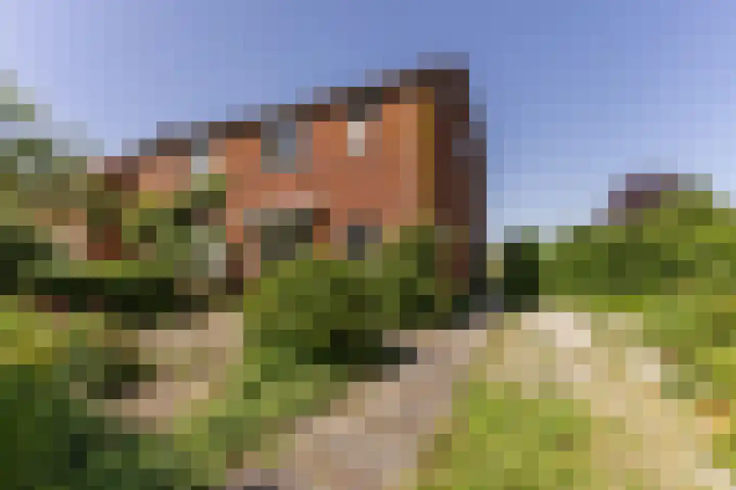 Dorpsstraat 113 Jisp thumbnail 31