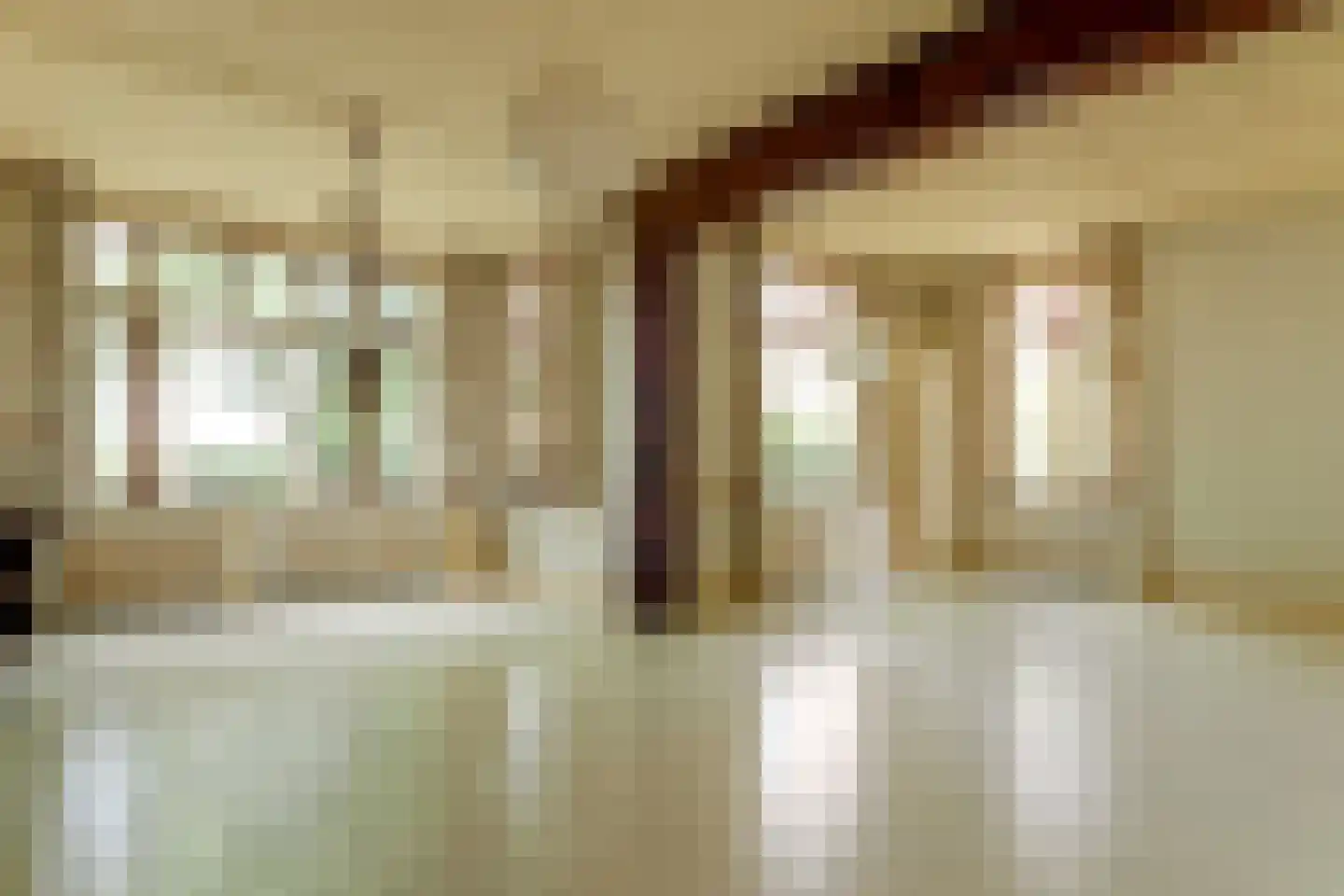 Dorpsstraat 113 Obdam thumbnail 10