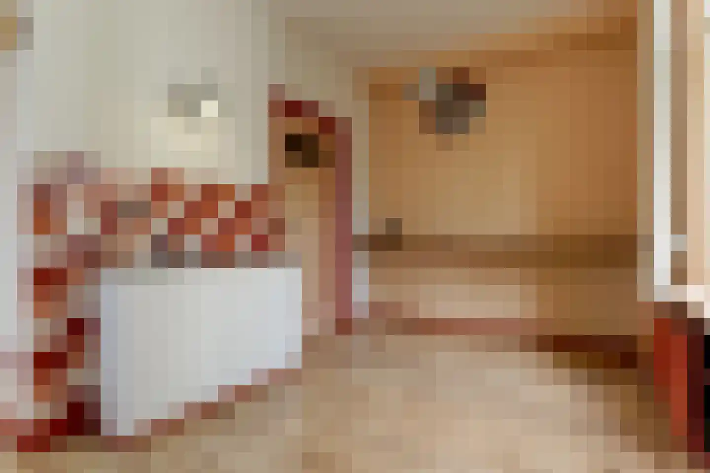 Dorpsstraat 113 Obdam thumbnail 18