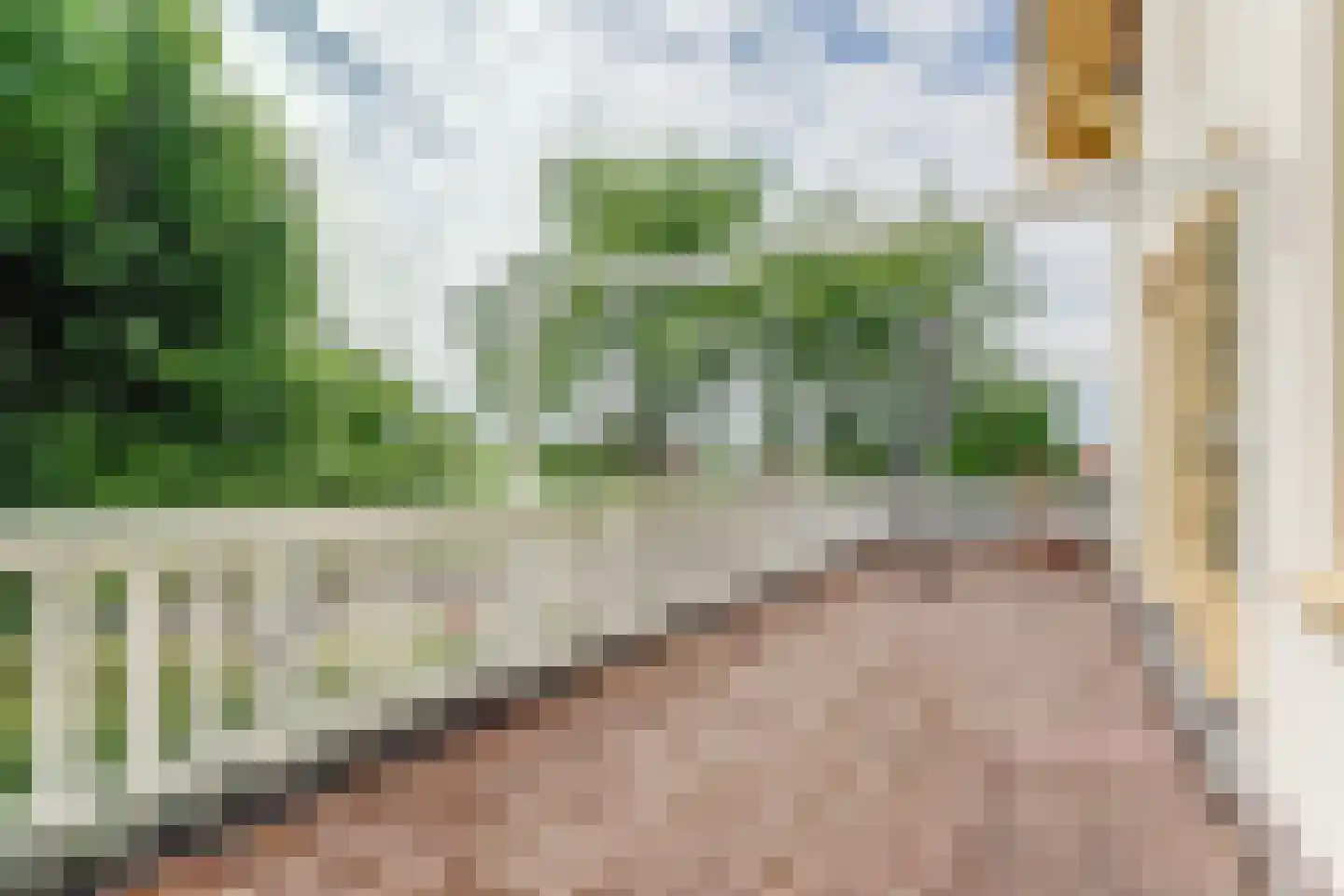 Dorpsstraat 113 Obdam thumbnail 37