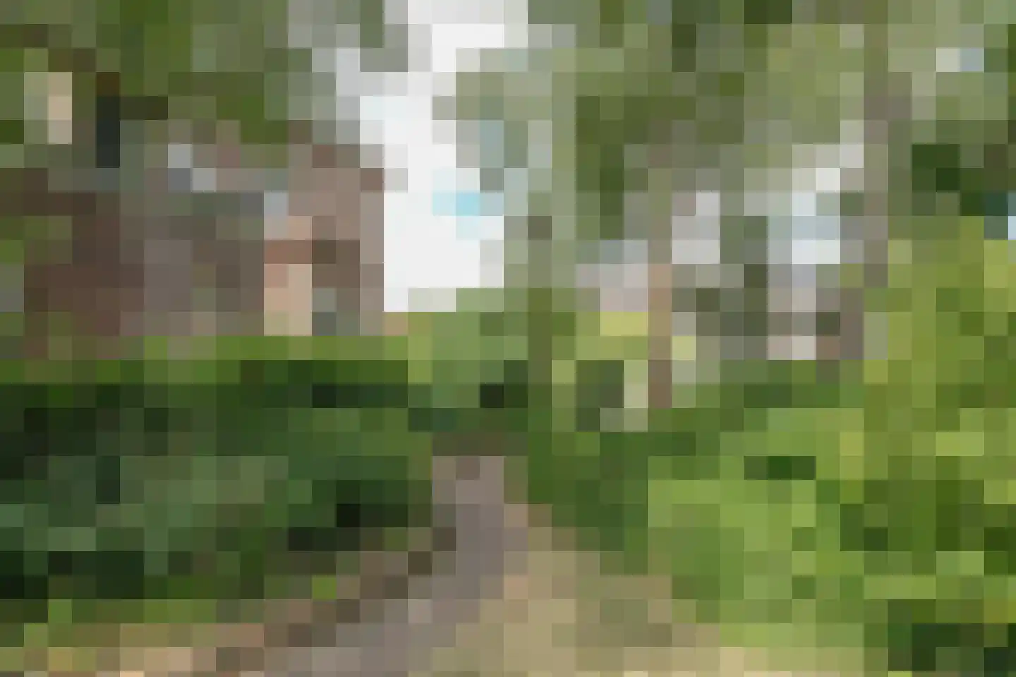 Dorpsstraat 113 Obdam thumbnail 72