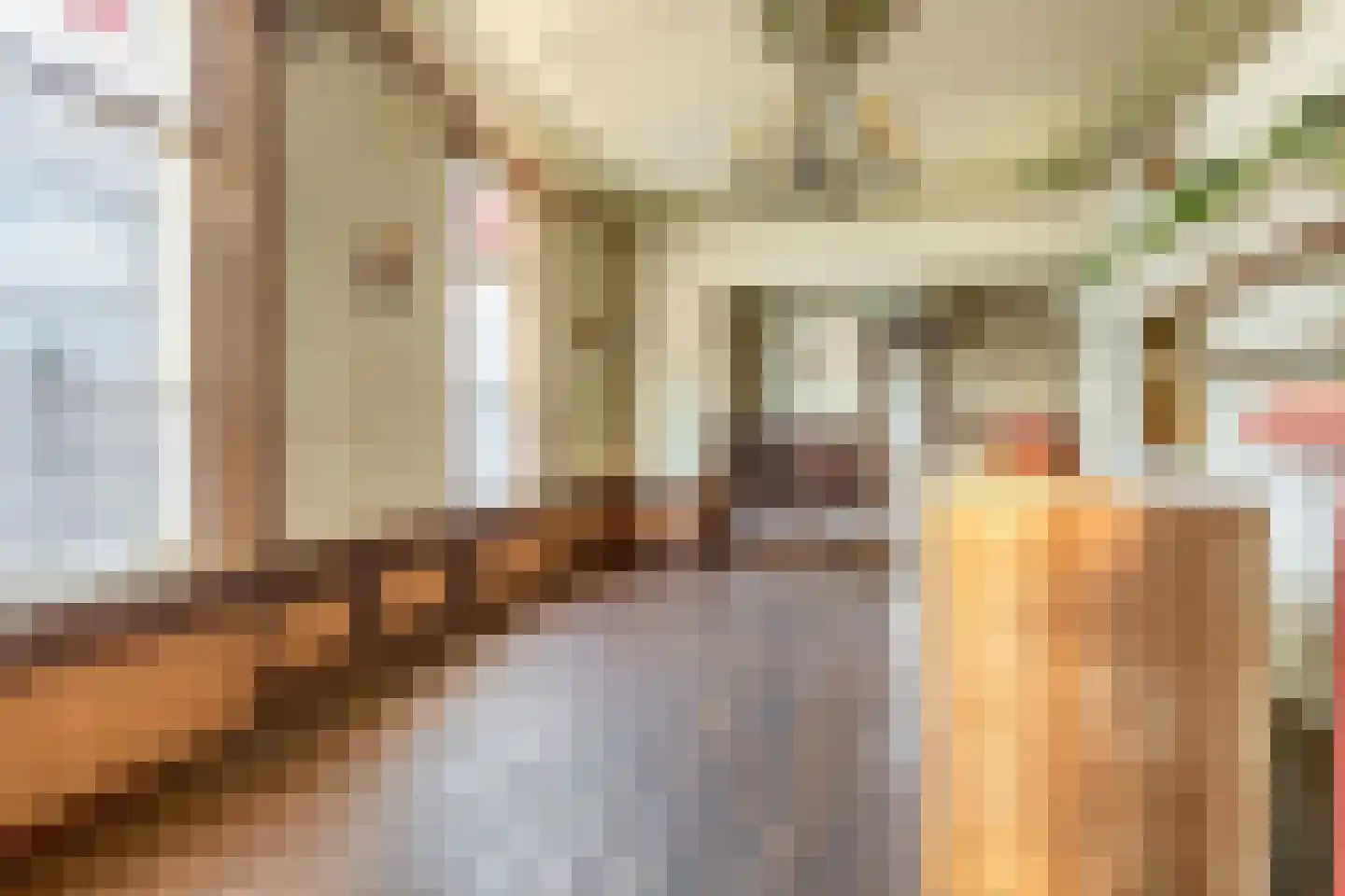 Dorpsstraat 114 Krimpen aan de Lek thumbnail 14