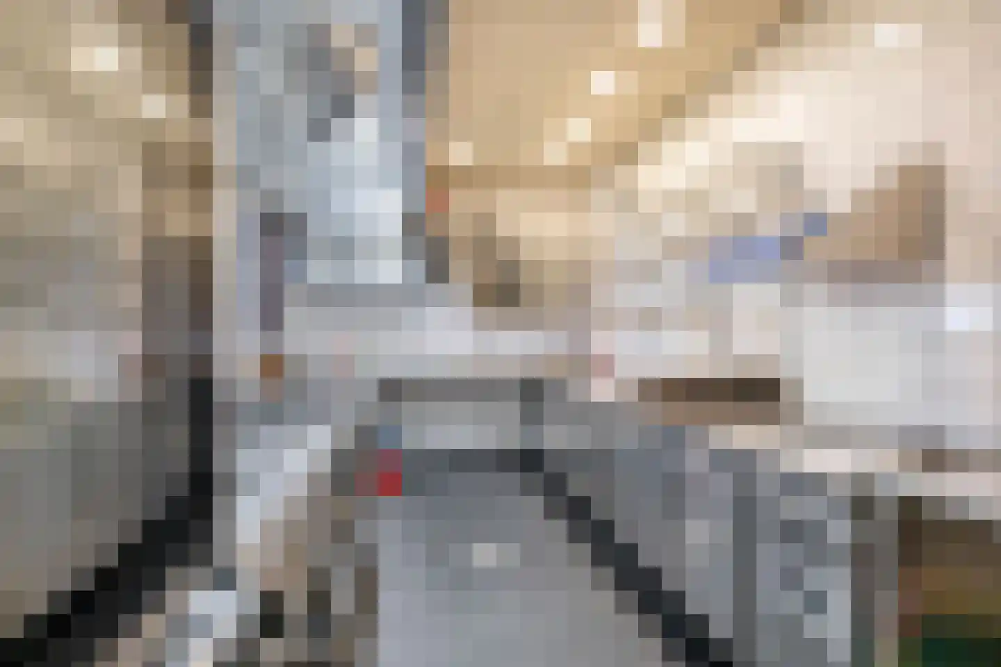 Dorpsstraat 114 Krimpen aan de Lek thumbnail 22