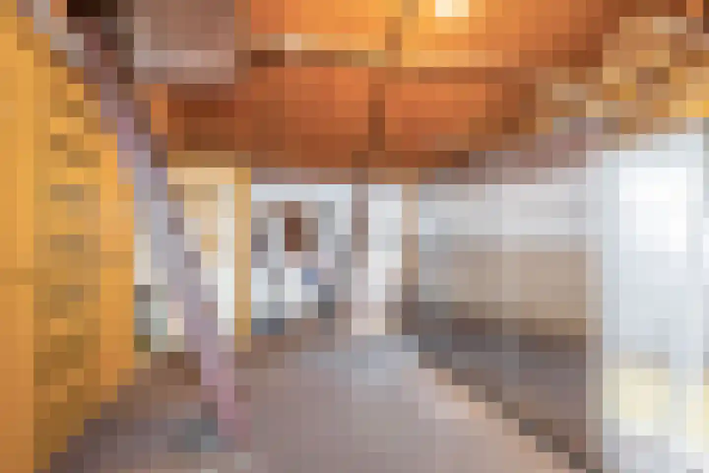 Dorpsstraat 114 Krimpen aan de Lek thumbnail 31
