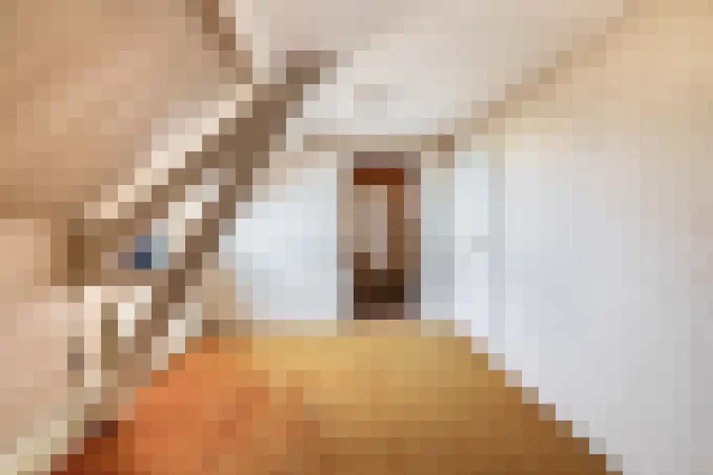 Dorpsstraat 114 Krimpen aan de Lek thumbnail 38