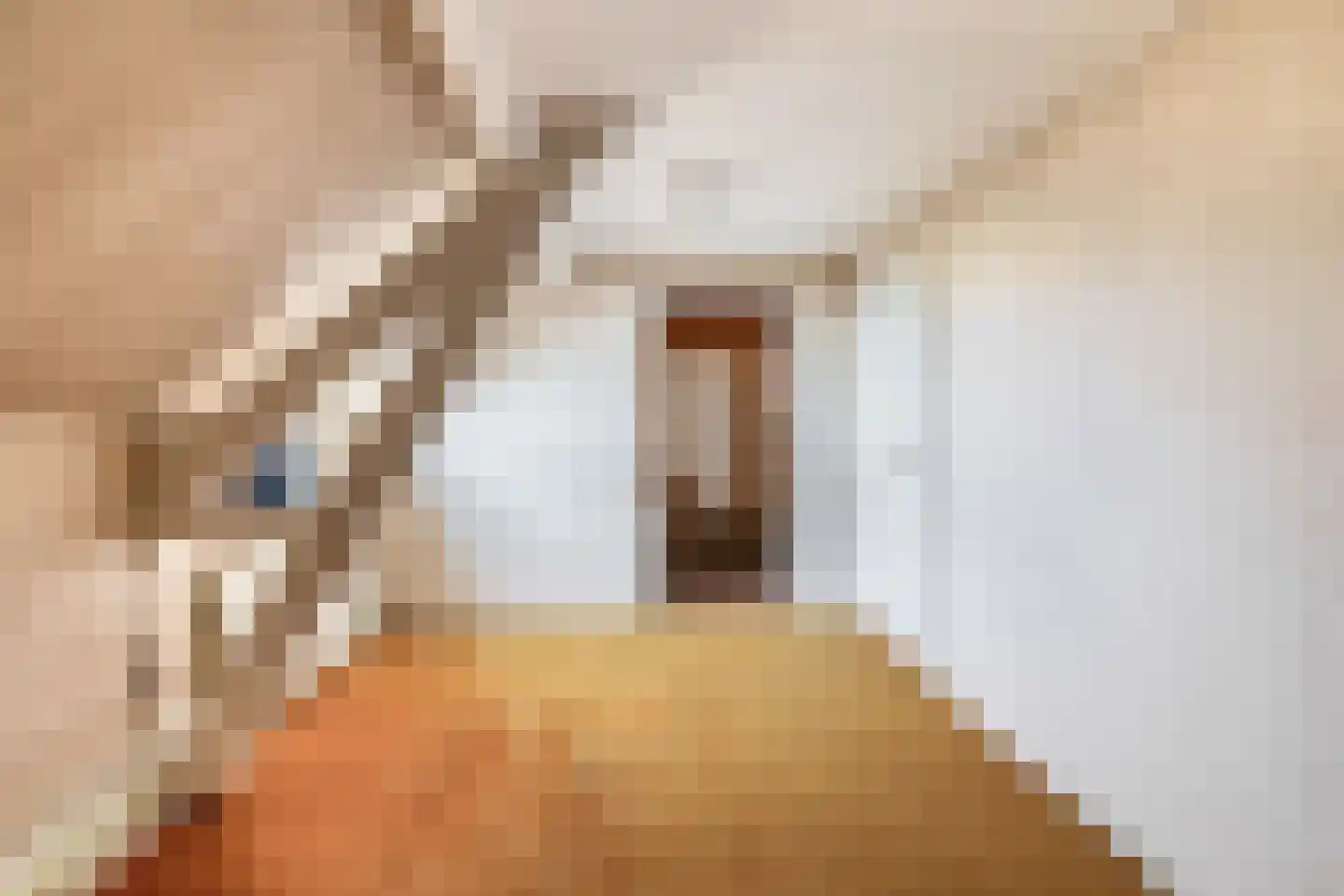 Dorpsstraat 114 Krimpen aan de Lek thumbnail 44