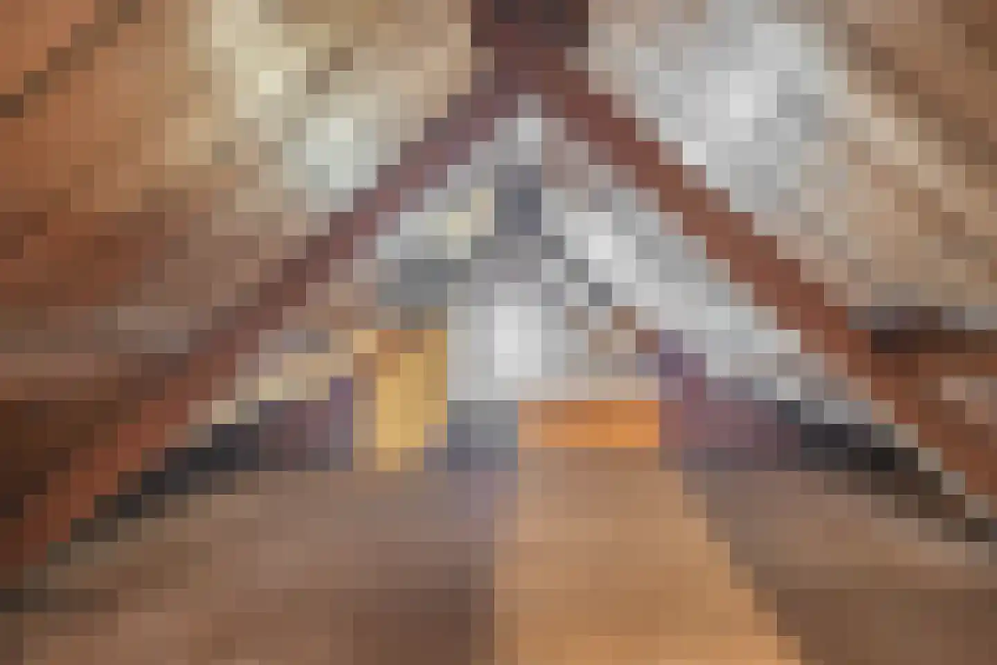Dorpsstraat 114 Krimpen aan de Lek thumbnail 44