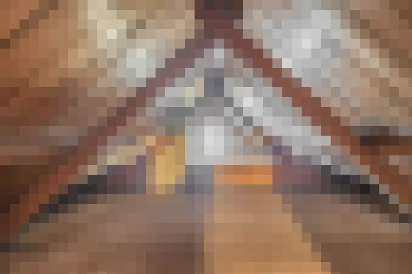 Dorpsstraat 114 Krimpen aan de Lek thumbnail 50