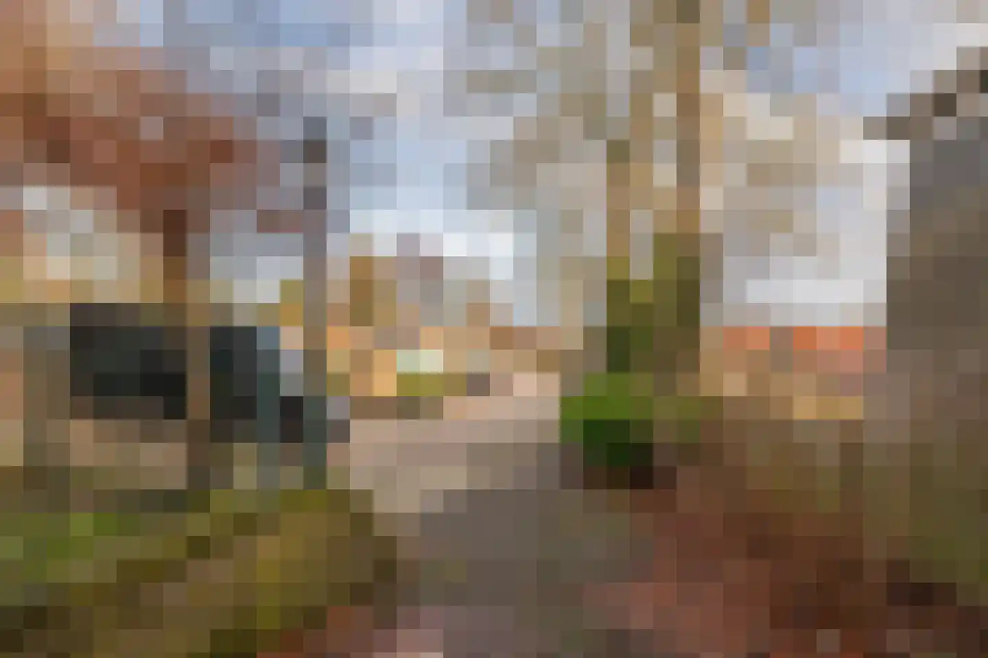 Dorpsstraat 114 Krimpen aan de Lek thumbnail 57