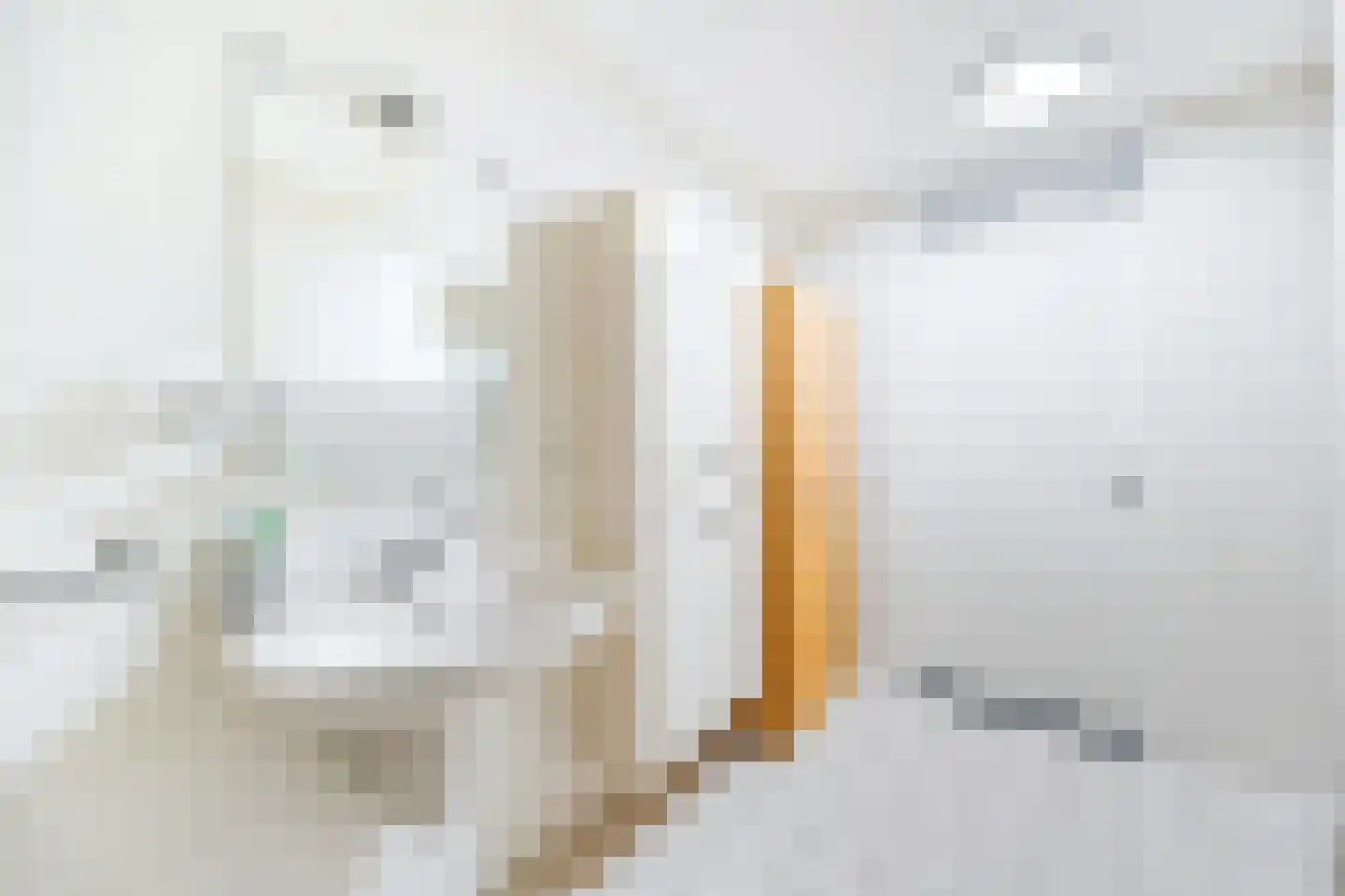 Dorpsstraat 115 A Zoetermeer thumbnail 20