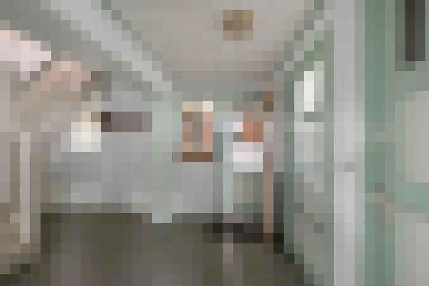 Dorpsstraat 115 Assendelft thumbnail 14