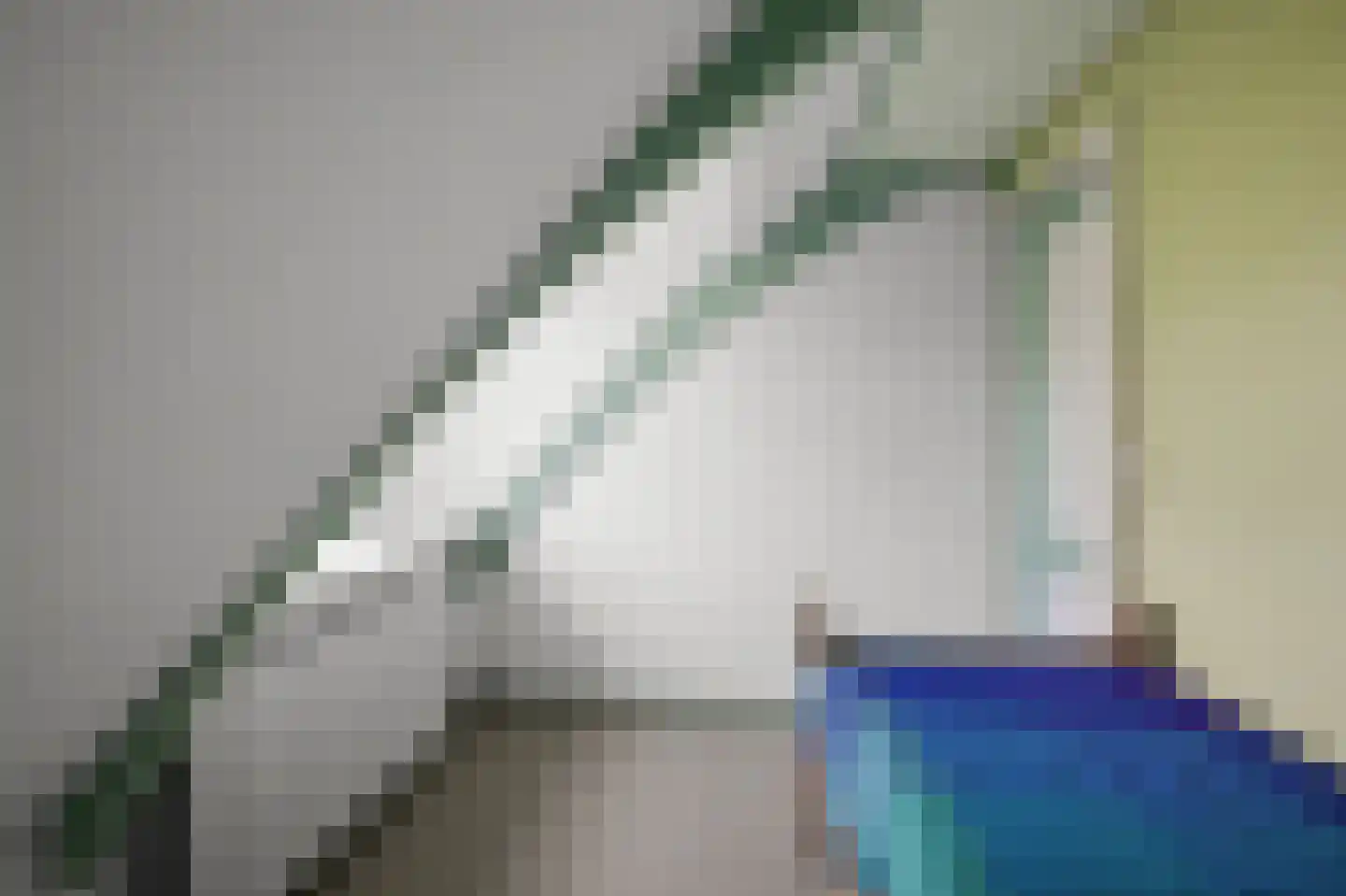 Dorpsstraat 115 Assendelft thumbnail 27