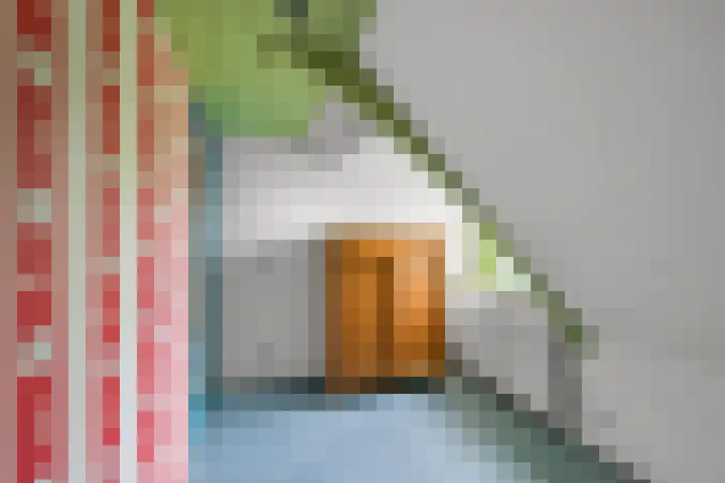 Dorpsstraat 115 Assendelft thumbnail 30