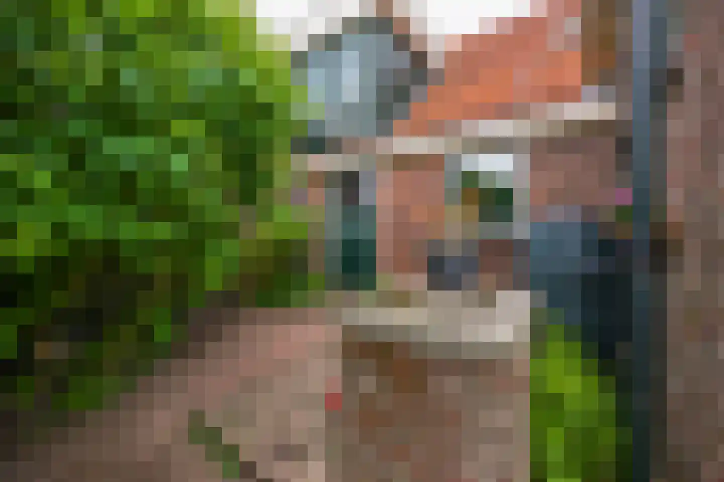 Dorpsstraat 115 Assendelft thumbnail 36