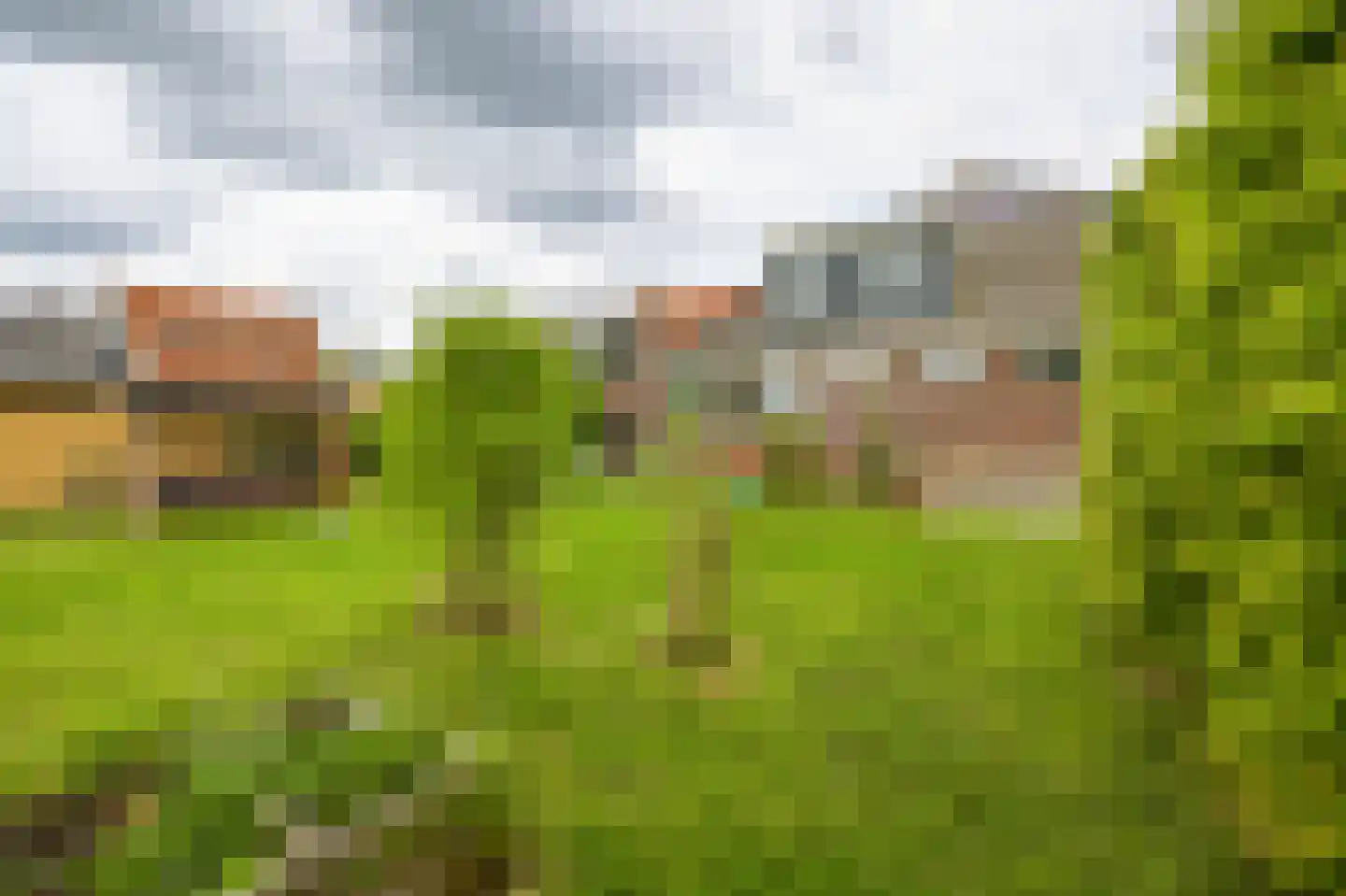 Dorpsstraat 115 Assendelft thumbnail 37